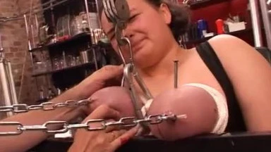 Video thumbnails for 'TG Alina V03 - Master Serpent - Extreme BDSM Pain Slut' depicting alina slut, saline, drilling, spikes, stapled pussy