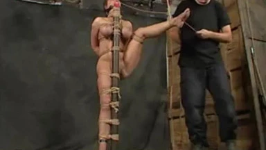 Video thumbnails for 'Insex - Start - PornModelZone' depicting bdsm, hitachi, rope bondage, restraints, self-bondage