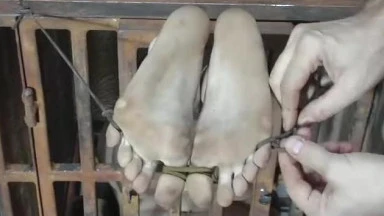 Video thumbnails for '2006-10-13 CAGED CUMSLUT featuring Melody (part 2)' depicting bondage, ass fingering, anal fingering, feet caned, feet brushed